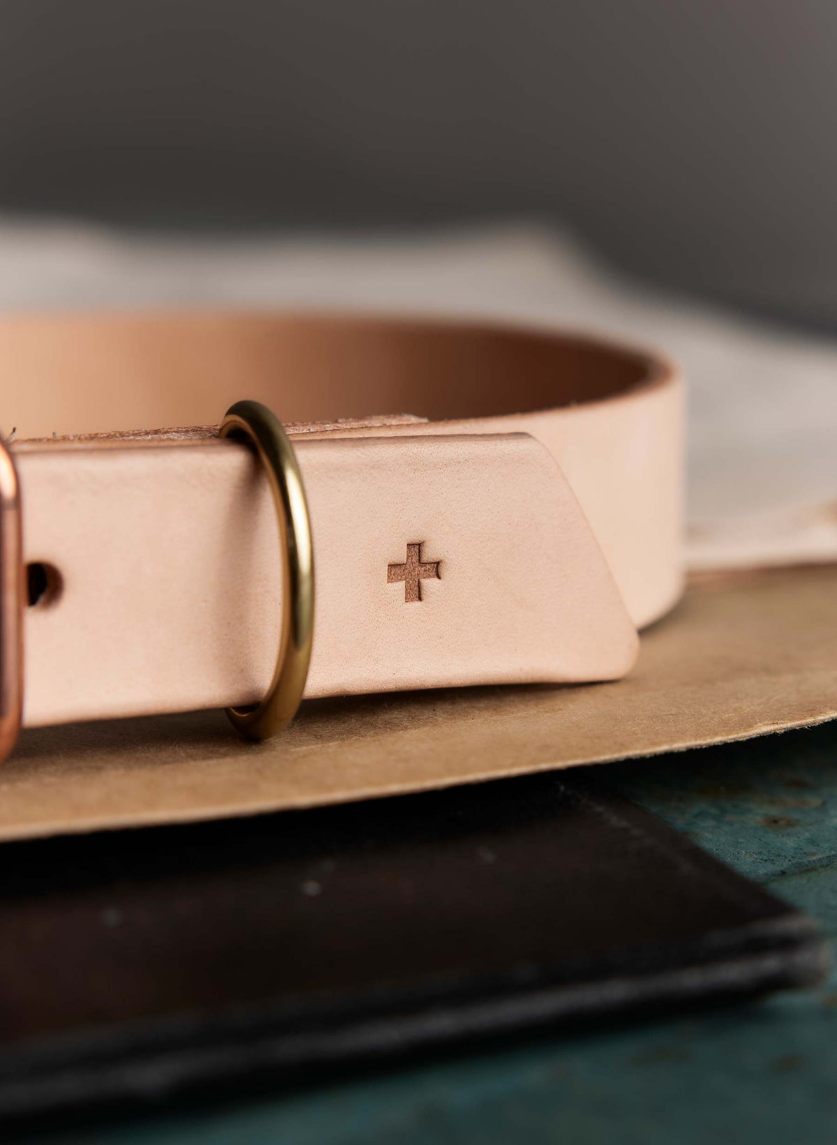 emil erwin x i+w dog collar