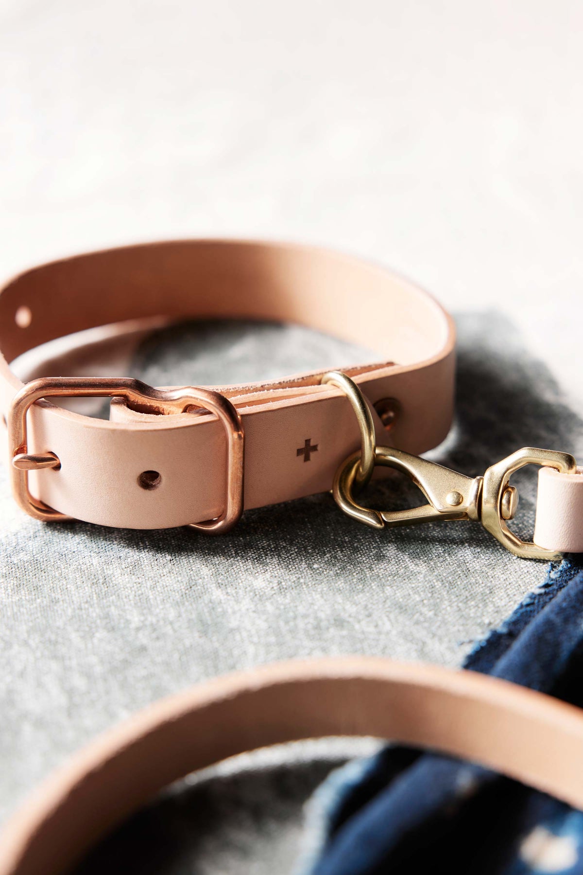 emil erwin x i+w dog collar