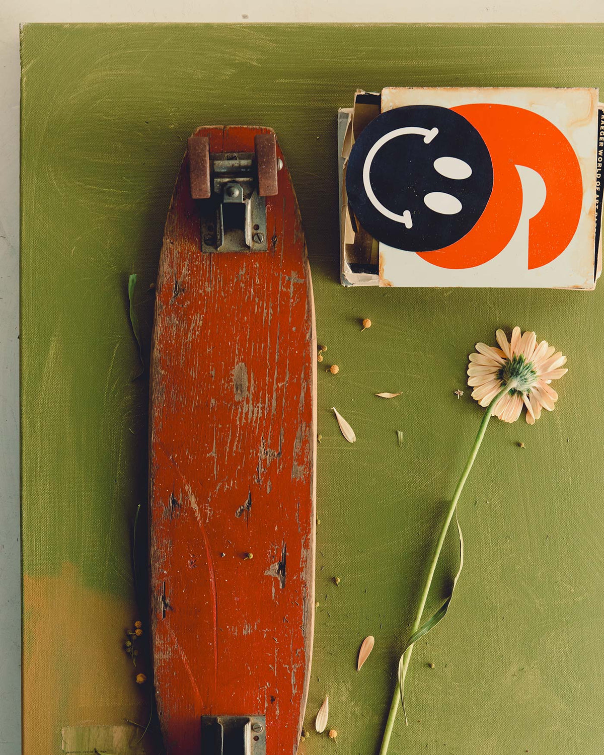 spruce knit box crew