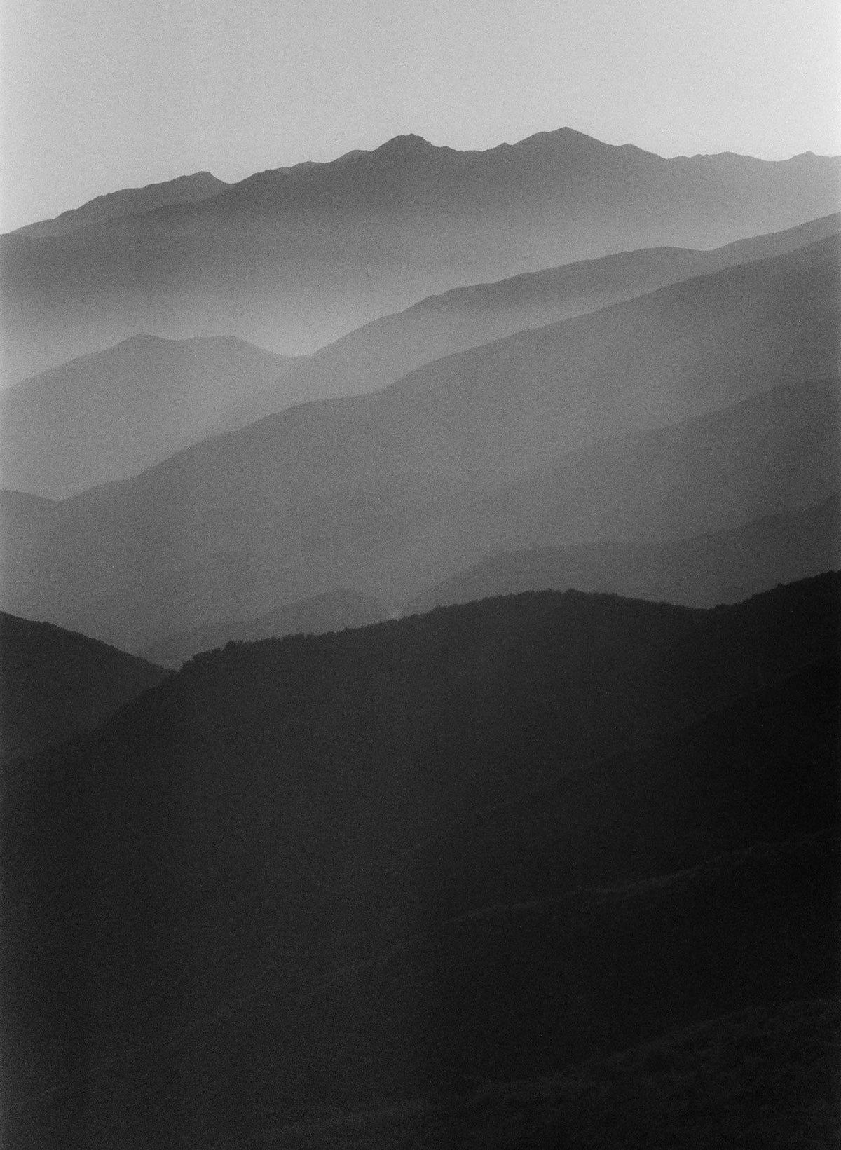 hayes washed pearl snap