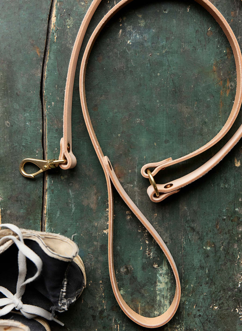 emil erwin x i+w dog leash