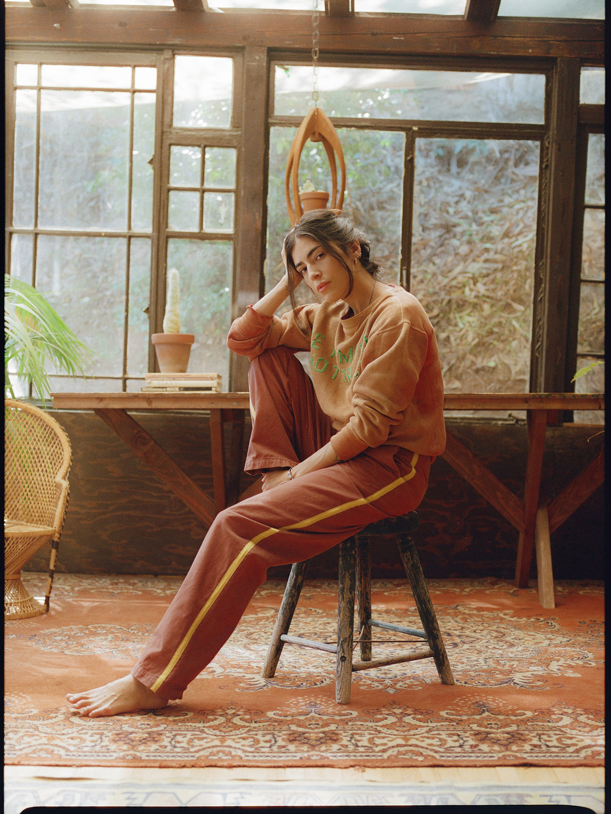 baker striped trouser in terra