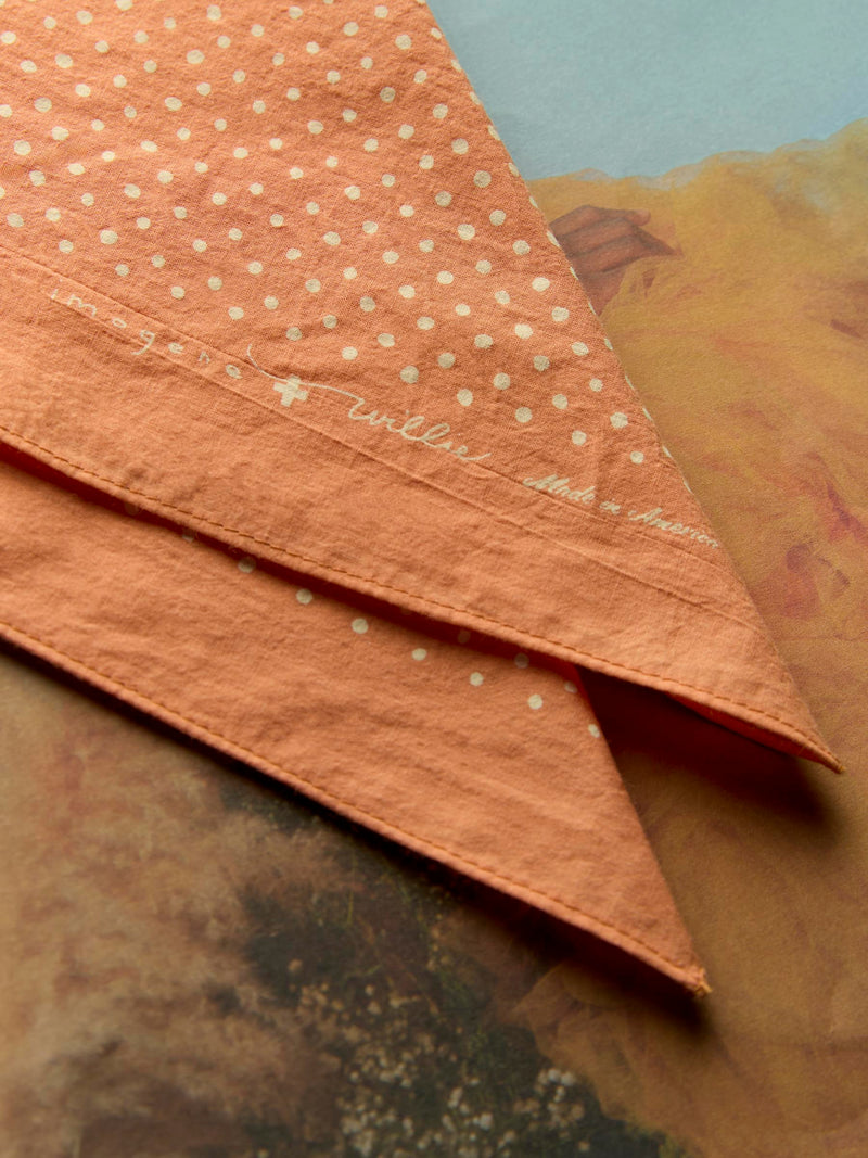 i+w vintage orange bandana - Model