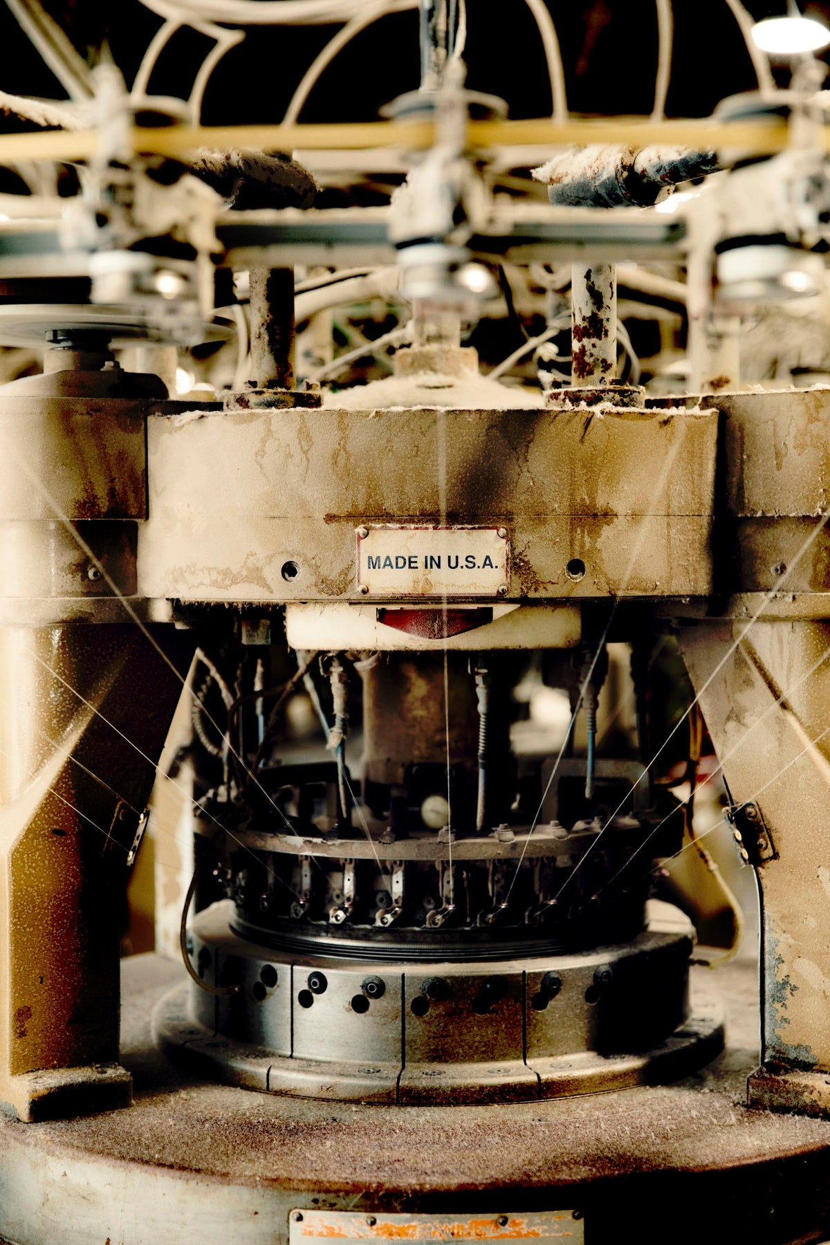 augusta natural indigo