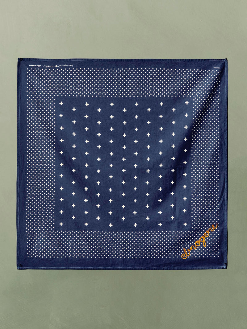 i+w vintage blue bandana