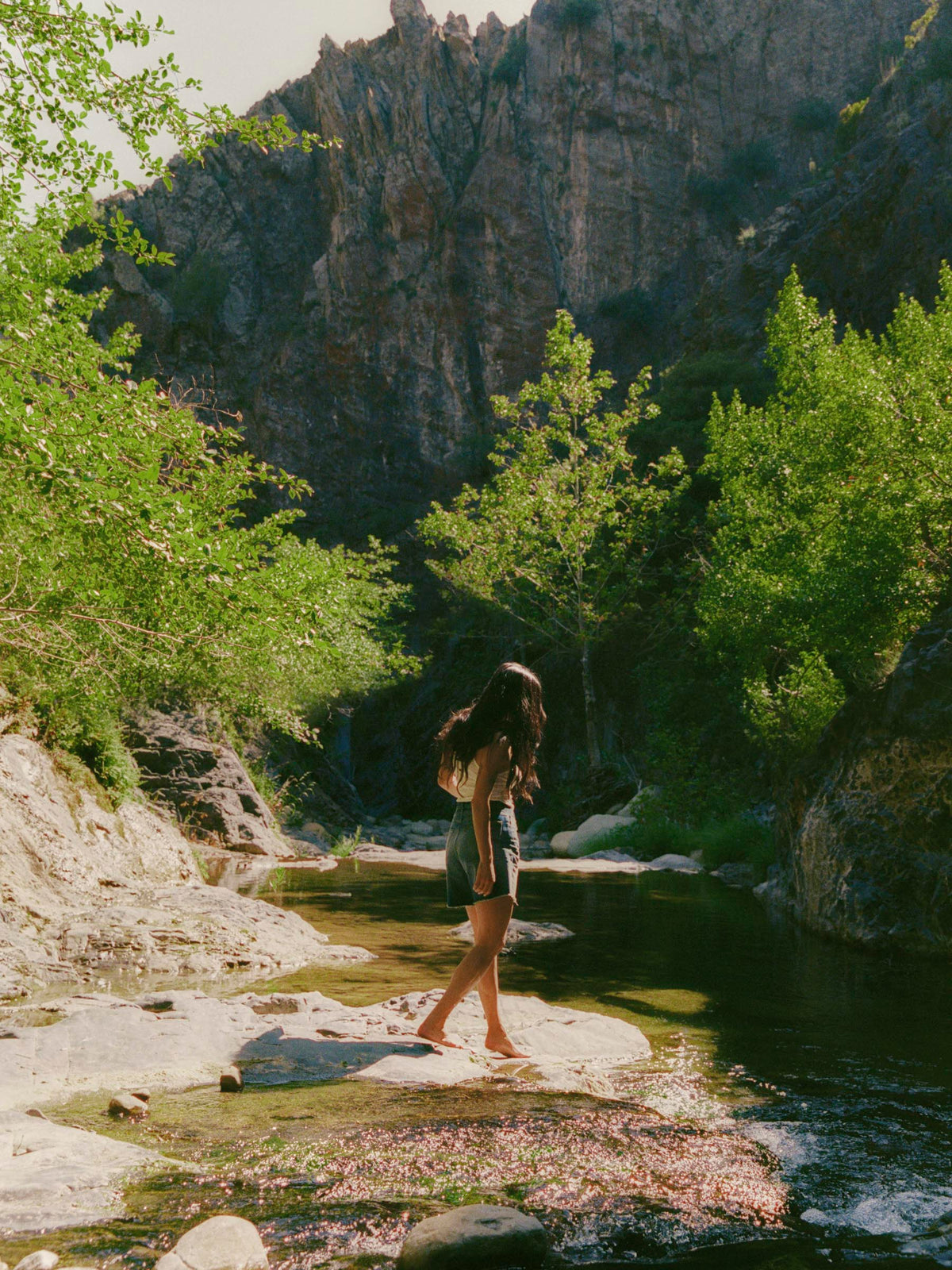 hazel salinas cutoff short