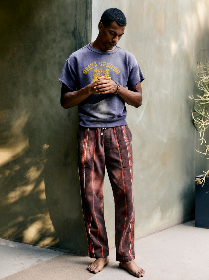 ventura chore pant in lagos stripe