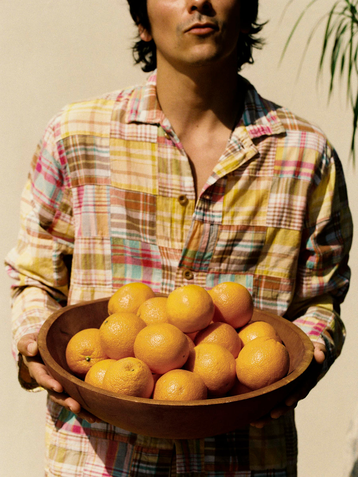 madras jacket in townsend