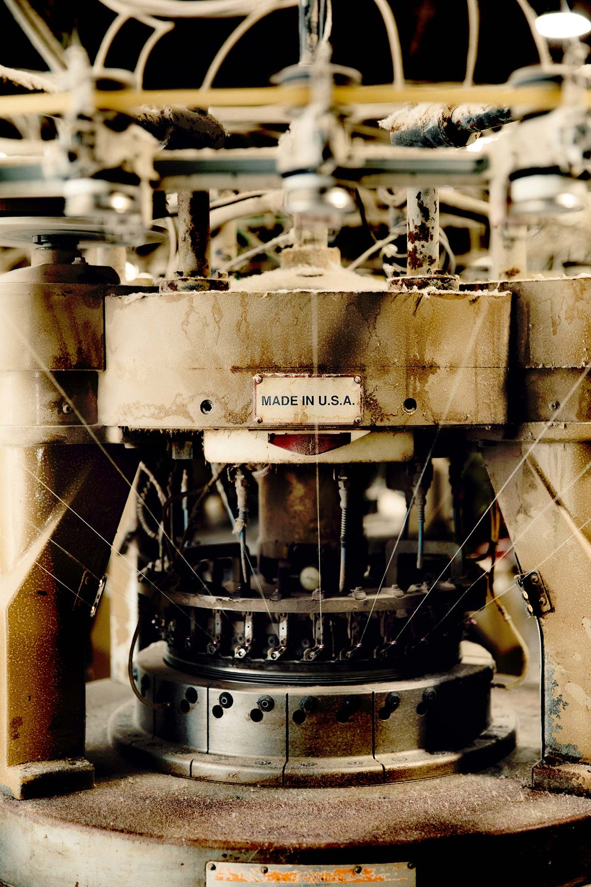 the cotton project tee in vintage white